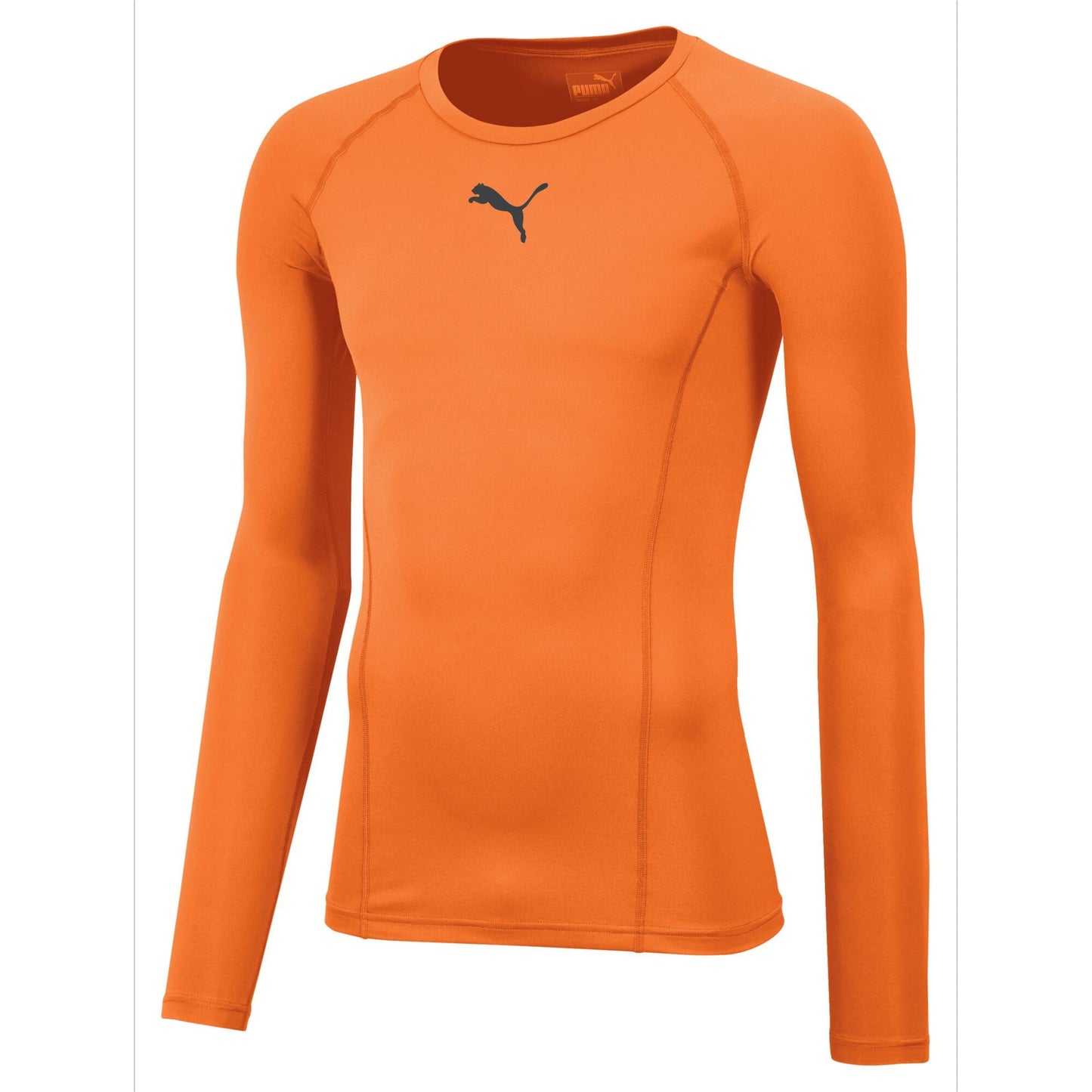 #FUNKTION - PUMA LIGA Baselayer Tee LS - FC Speyer 09