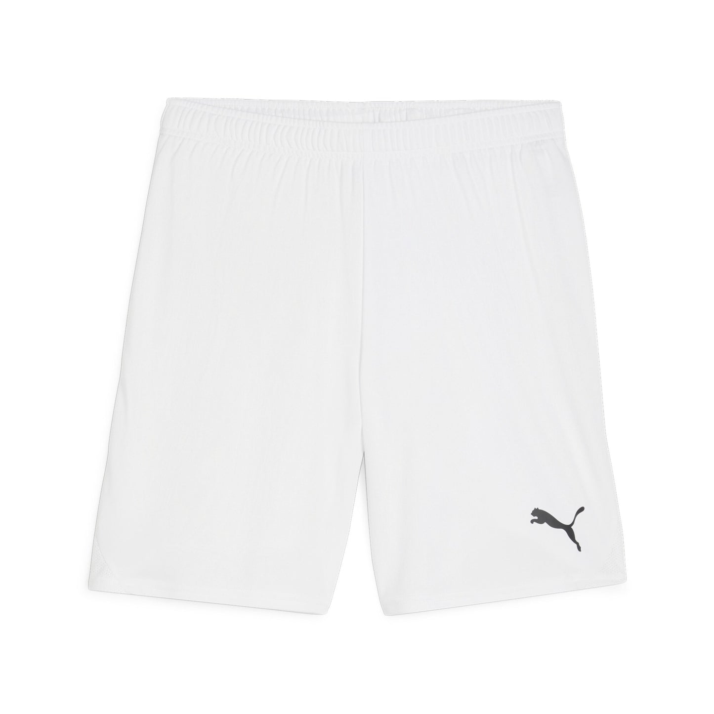 Puma teamGOAL Shorts ERWACHSENE